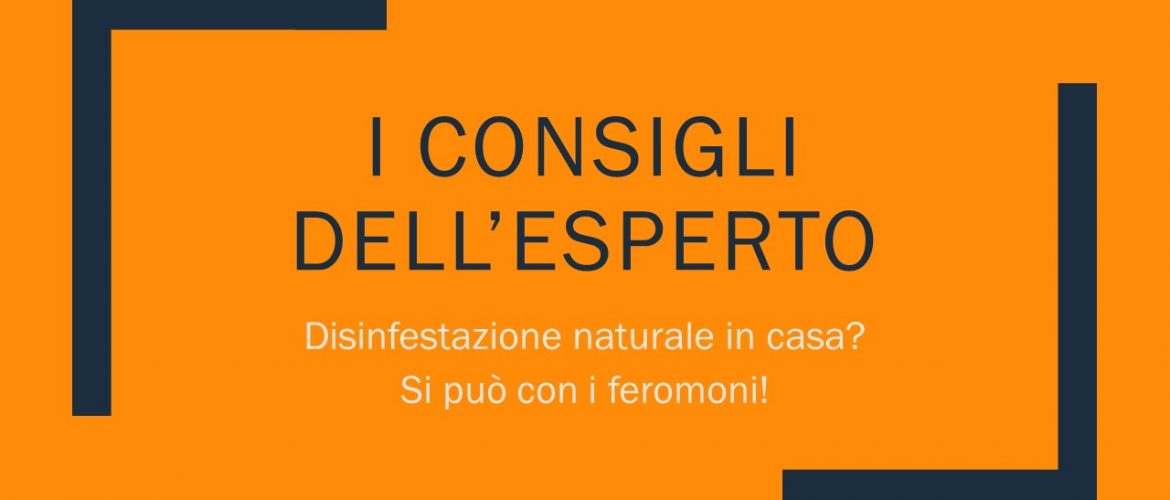 Disinfestazione naturale in casa? Si può con i feromoni!